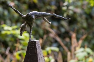 DSC_3898 (1)